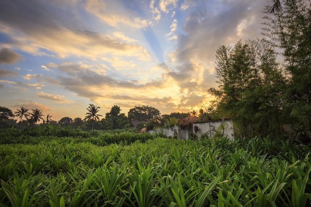 The Pandan Tree Villas Canggu  Exterior photo